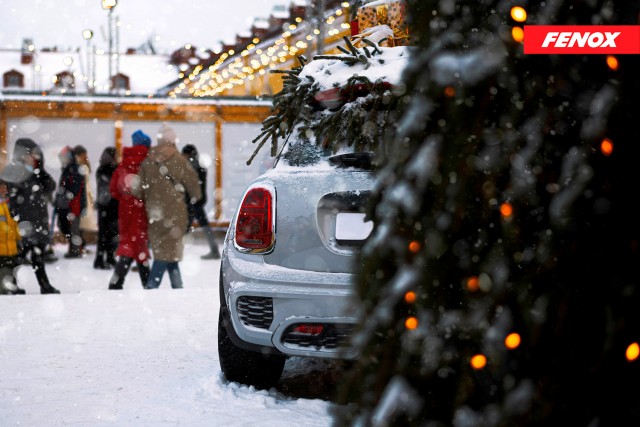 FENOX подвел итоги 2025 года